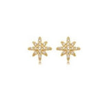 Elena Star Stud Earring in 18k Gold Plated