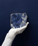 Sodalite Coaster in Pure Gold (2 per Set)